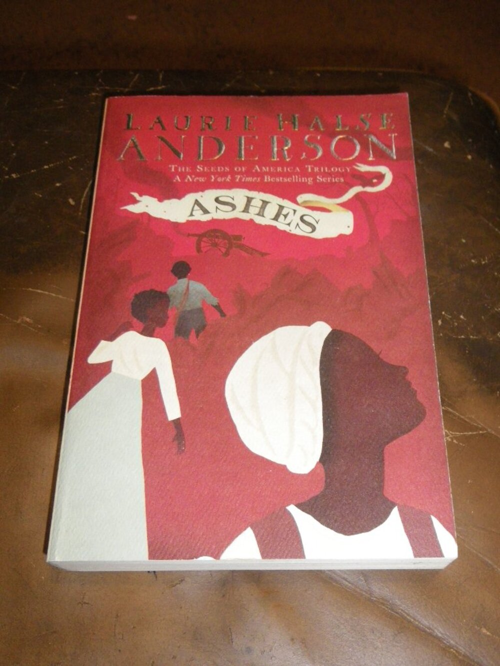 Laurie Hallse Anderson Ashes YA Paperback Book